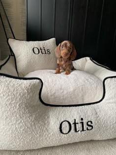 a small dog sitting on top of a bed with the words otts written on it