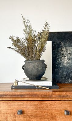 a potted plant sitting on top of a wooden dresser next to a blackboard