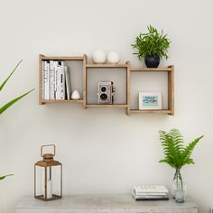 a shelf with some books and plants on it