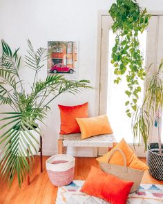 a living room filled with lots of plants and pillows on top of a wooden floor