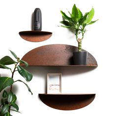 two metal shelves with plants on them next to a remote control and a plant in a pot