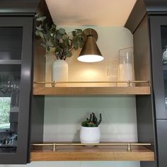 a potted plant sitting on top of a wooden shelf next to a glass cabinet