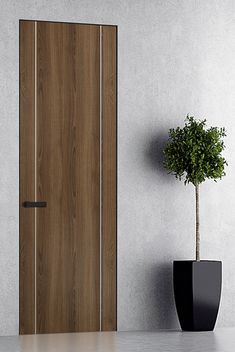 a potted plant sitting next to a wooden door in a white room with grey walls