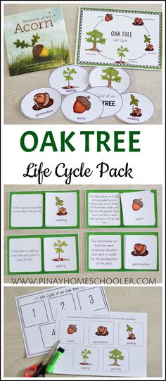 the oak tree life cycle pack is shown with instructions and pictures to help students learn how to