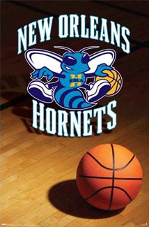 the new orleans hornets basketball is on the court