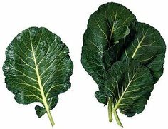 two green leafy vegetables on a white background