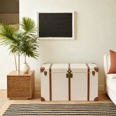 a living room with a white couch and two suitcases on the floor next to a potted plant