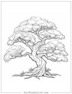 a black and white drawing of a large tree with lots of leaves on the branches