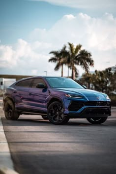 a purple lamb urus parked on the side of the road in front of palm trees