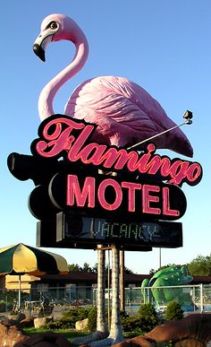 a pink flamingo motel sign sitting on top of a lush green field