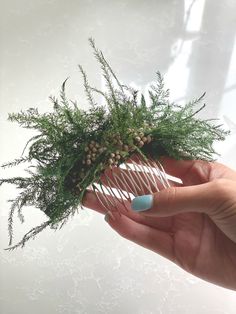 a hand holding a comb with plants on it