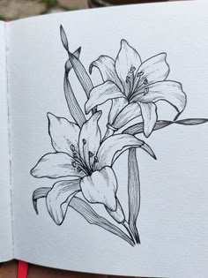 an open notebook with a drawing of lilies on the page and a red pen