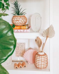 some plants and other items on a shelf in a room with white walls, bookshelf