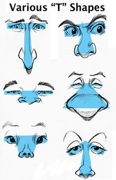 various types of eyes and nose shapes