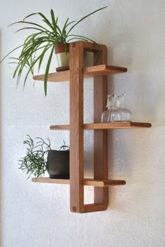 a wooden shelf with two plants on it