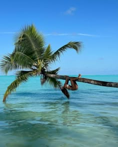 a person hanging from a palm tree in the ocean with clear blue water behind them