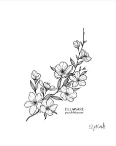 a black and white drawing of flowers with the words del aware peach blossom on it