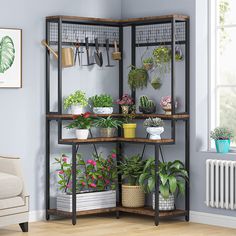 Tribesigns Corner Plant Stand, 67 Tall Flower Shelf with 15 Hanging Hooks Tribesigns Indoor Corner Plant Stand, Plant Shelf Decor, Tall Corner Shelf, Plant Shelf Ideas, Corner Plant Stand, Shelves Plant, Tall Indoor Plants, Ladder Shelves, Indoor Plant Stand