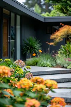 an outdoor garden with flowers and plants in the foreground, next to a house