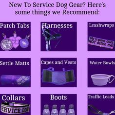 a purple poster with the words, new to service dog gear? here's some things we recommend