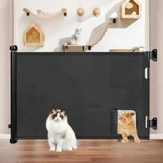 two cats sitting on the floor in front of a black gate with cat houses behind it