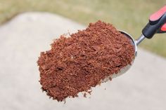 a person holding a scoop full of red dirt on top of a cement slab with grass in the background