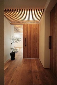 an empty hallway with wooden doors and a potted plant on the floor in front of it