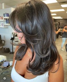 Rambut Brunette, Brown Hair Looks, Brown Hair Inspo, Layered Haircuts For Medium Hair, Hairstyles For Layered Hair, Blowout Hair, Haircuts For Medium Hair, Haircuts Straight Hair, Hair Inspo Color