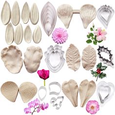 a bunch of different shapes and sizes of flowers on a white background with pink flowers