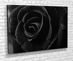 a black and white photo of a rose on a brick wall