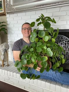 a man sitting in front of a fireplace holding a potted plant with green leaves