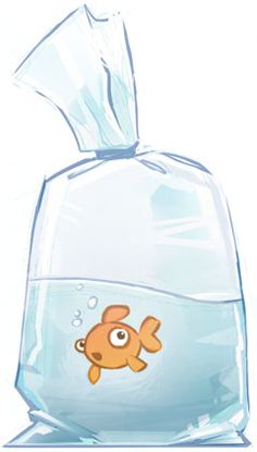 an image of a goldfish in a bag