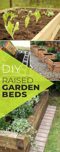 garden beds made out of wooden pallets with text overlay that reads diy raised garden beds