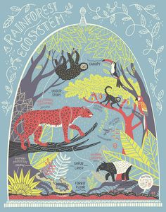 an illustrated poster with animals and plants on it