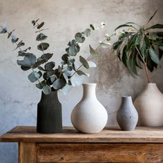 three vases with plants in them sitting on a wooden table next to a wall