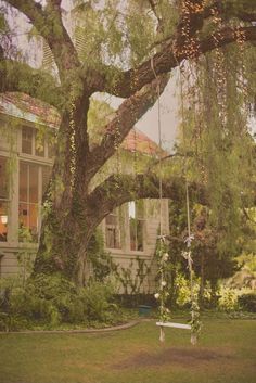 a tree that is in front of a house with a swing on it's side