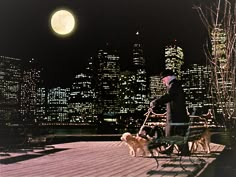 a man walking two dogs on a bench in front of the city skyline at night