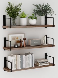 two wooden shelves with plants and books on them