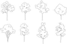 six different types of trees with leaves and branches drawn in one line, each showing the same