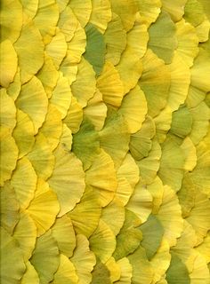 yellow and green leaves are arranged in an abstract pattern