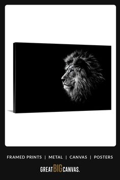 a black and white photo of a lion in the dark with text that reads, framed prints metal canvass posters great big canvass