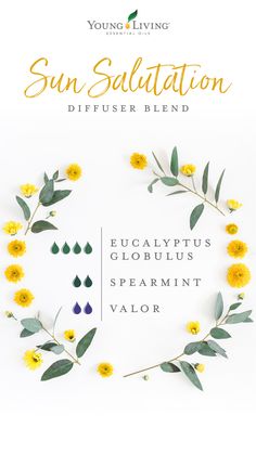 Diffuser Blends Young Living, Essential Oils Diffuser Blends, Essential Oils Young Living