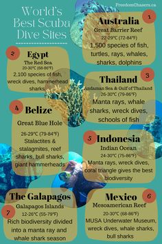 the world's best scuba dive sites info sheet for diving in australia and other countries