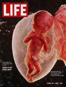 the cover of life magazine shows a baby in an inclosure, as it appears to be floating