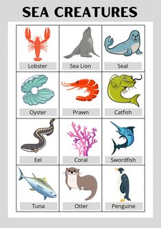 Sea animals, sea creatures, sea animals flash cards, water animals, water creatures, type of fishes, sea animals for preschool, sea animals toddlers Fish Structure, Water Activities, Flash Cards, Sea Animals, Kids Activities, Animals For Kids, We Need, Activities For Kids, Flash