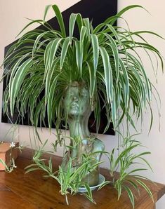 a plant in a green vase sitting on top of a wooden table