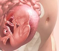 an image of a baby in the stomach being held up by someone's hand