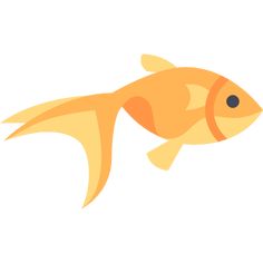 an orange fish on a white background