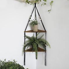 a hanging shelf with two plants on it next to a potted plant in the corner