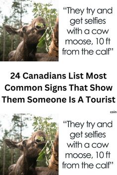 two pictures with the caption 24 canadian list most common signs that show them someone is a tourist